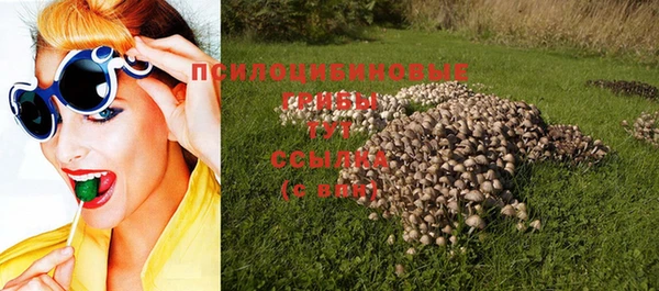 твердый Заводоуковск