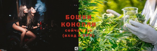 прущие крисы Заволжск