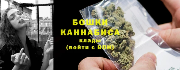 твердый Заводоуковск
