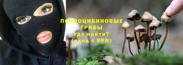 прущие крисы Заволжск
