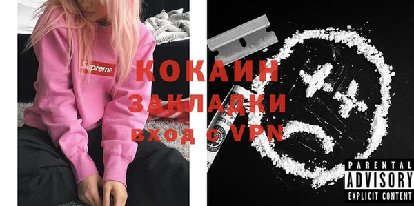 твердый Заводоуковск