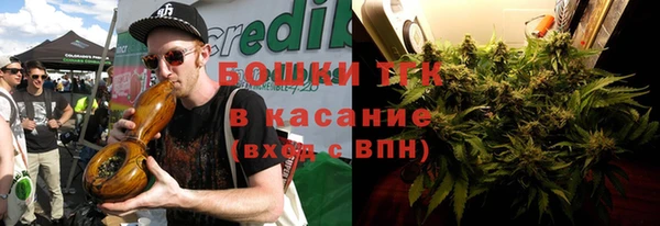 твердый Заводоуковск