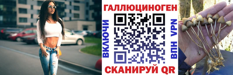 Галлюциногенные грибы Cubensis  Северск 